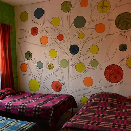 Chill Hostel Ciudad de México Pokoj fotografie